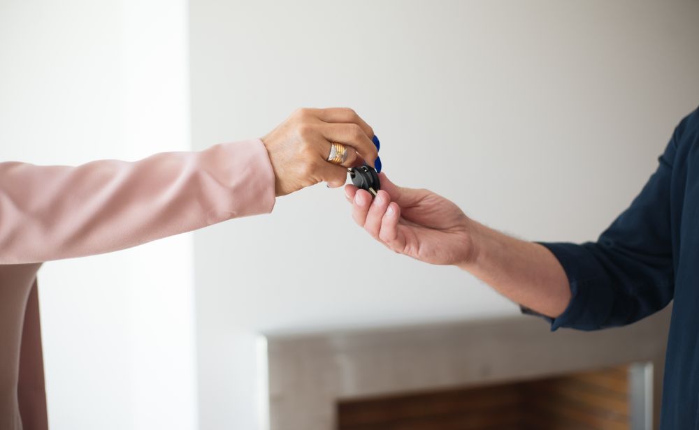 Maintain Your Property